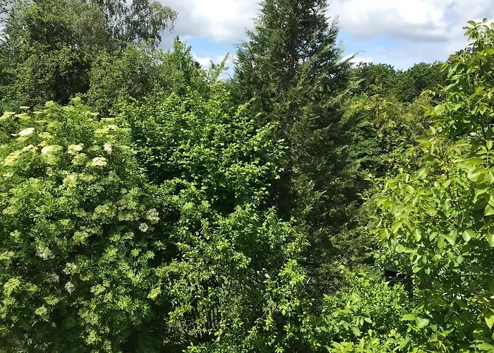 In Luxemburg Appartement Berbourg